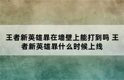 王者新英雄暃在墙壁上能打到吗 王者新英雄暃什么时候上线